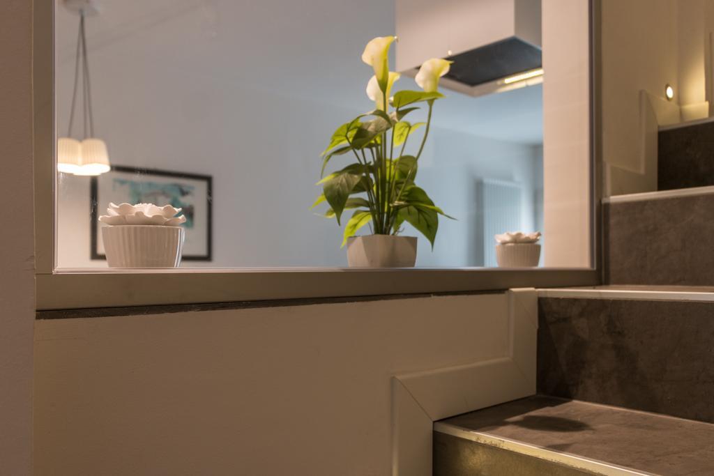 Modern Treviso
